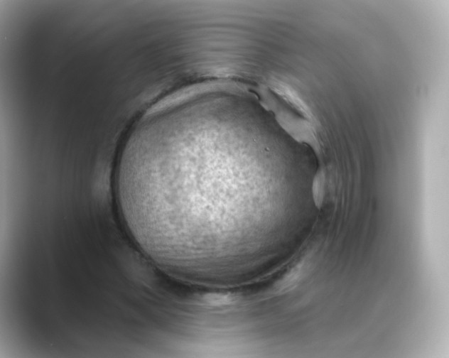 X0000088830394200706211818