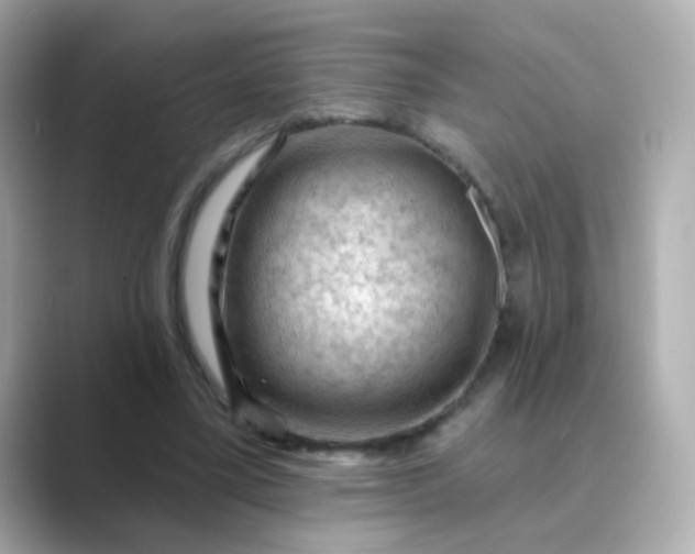 X0000088830395200706211818