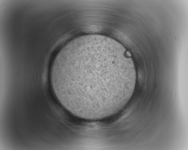 X0000088830396200706211818