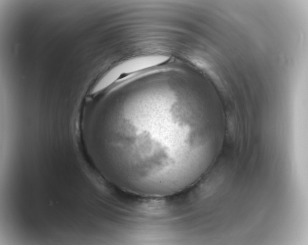 X0000088830398200706211818