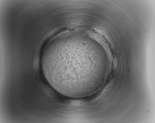 X0000088830400200706211818