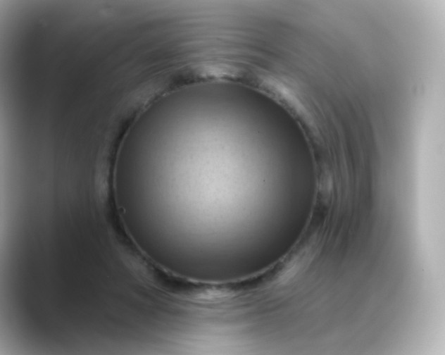 X0000088830402200706211818