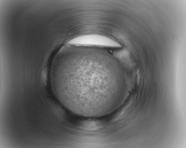 X0000088830404200706211818