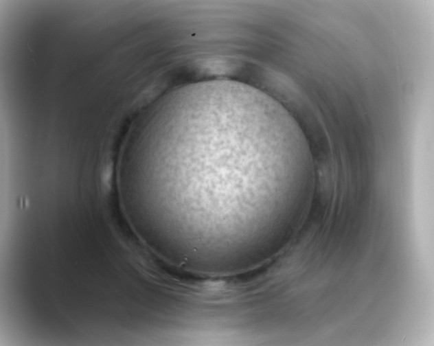 X0000088830406200706211818