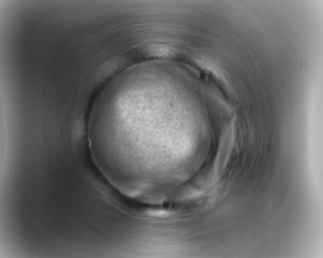 X0000088830407200706211818