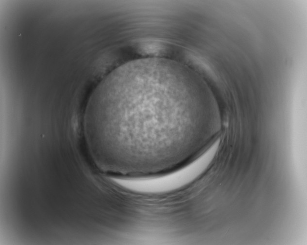 X0000088830408200706211818