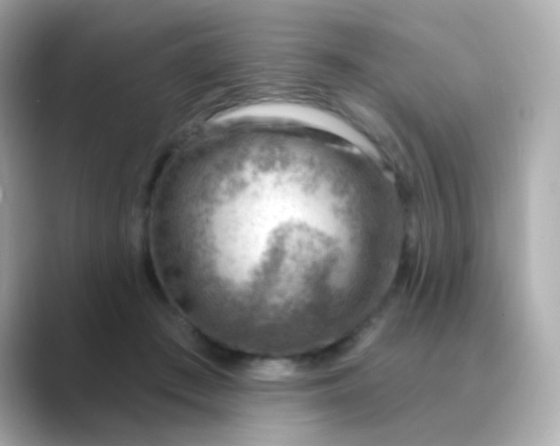 X0000088830409200706211818