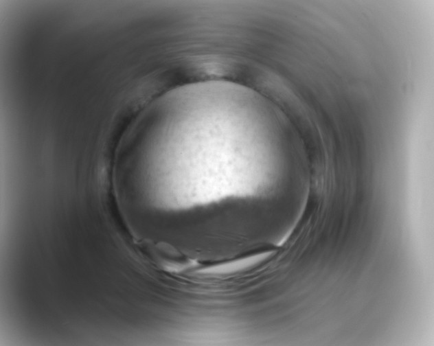 X0000088830410200706211818