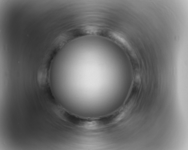 X0000088830411200706211818