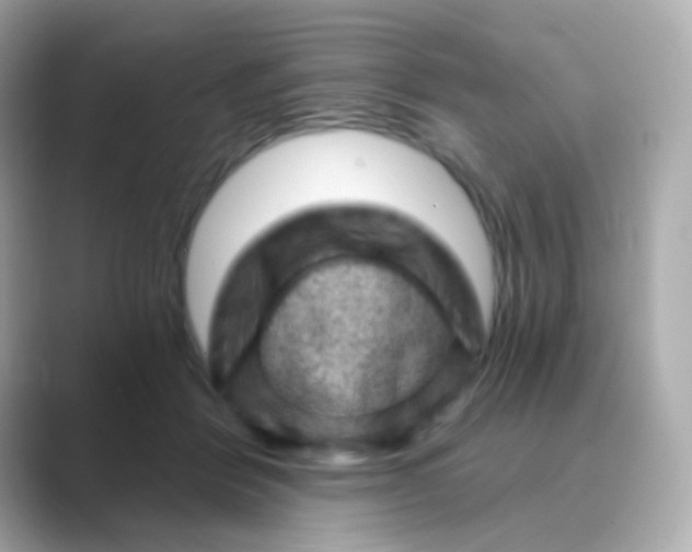 X0000088830412200706211818