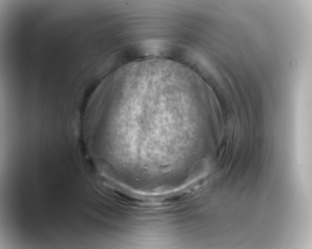 X0000088830413200706211818