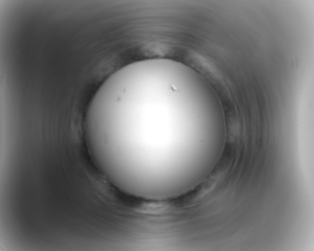 X0000088830414200706211818