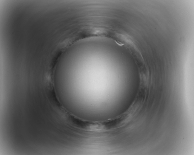 X0000088830415200706211818