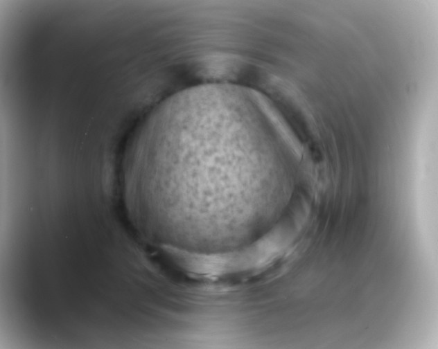 X0000088830416200706211818