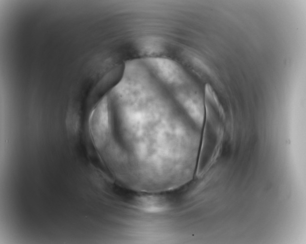 X0000088830417200706211818