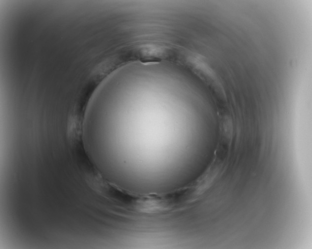 X0000088830419200706211818