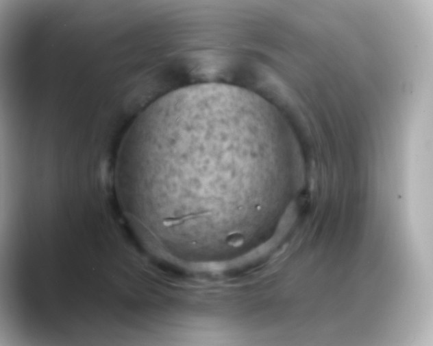 X0000088830420200706211818