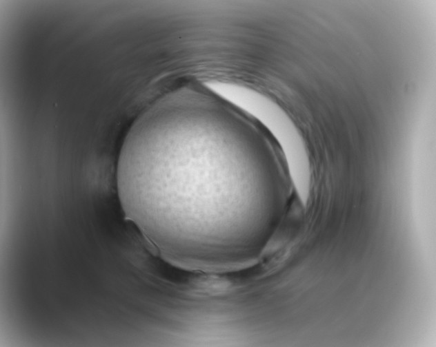 X0000088830421200706211818