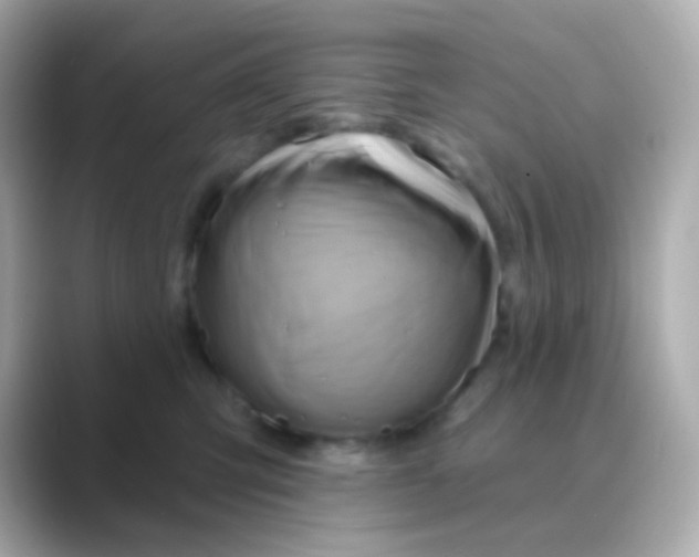 X0000088830423200706211818