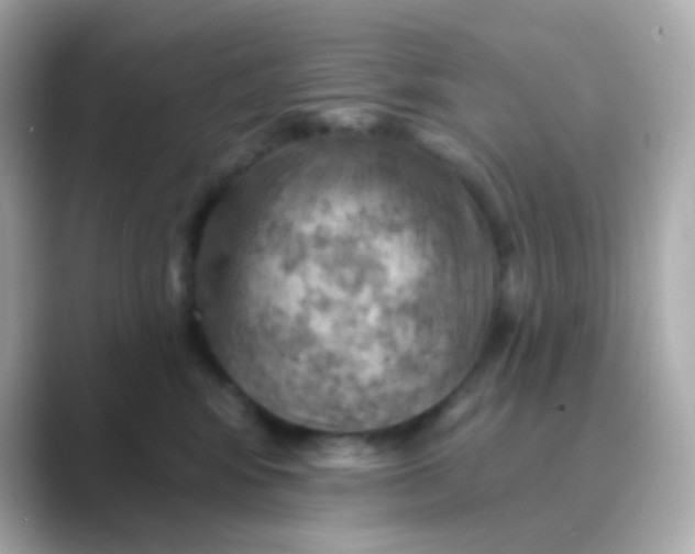 X0000088830424200706211818