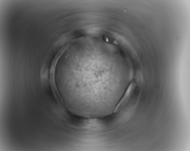 X0000088830428200706211818