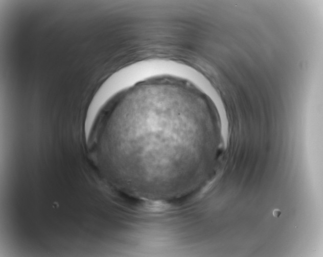 X0000088830429200706211818