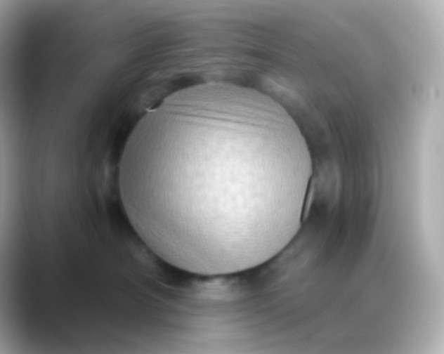 X0000088830430200706211818