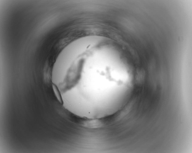 X0000088830431200706211818