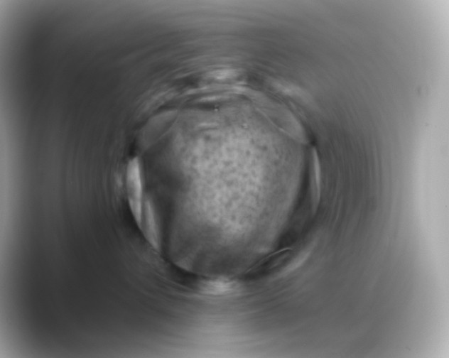 X0000088830432200706211818