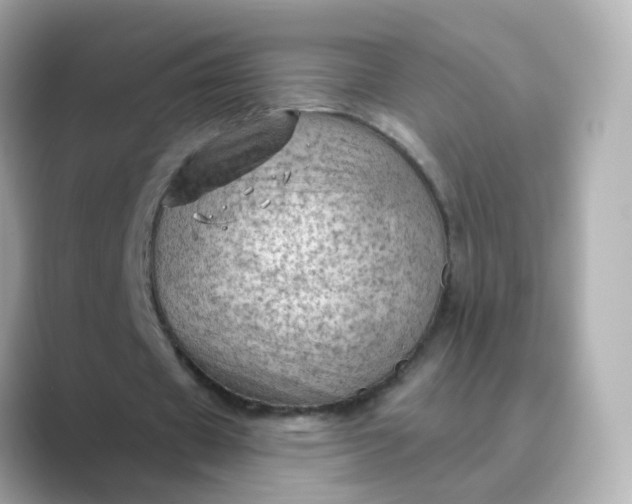 X0000088830433200706211817