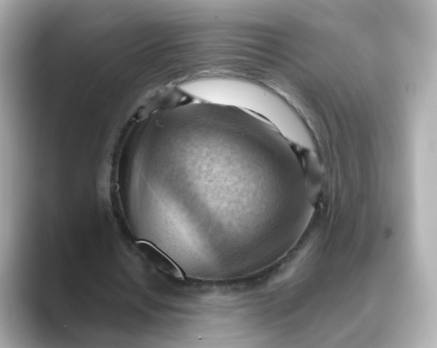 X0000088830434200706211817