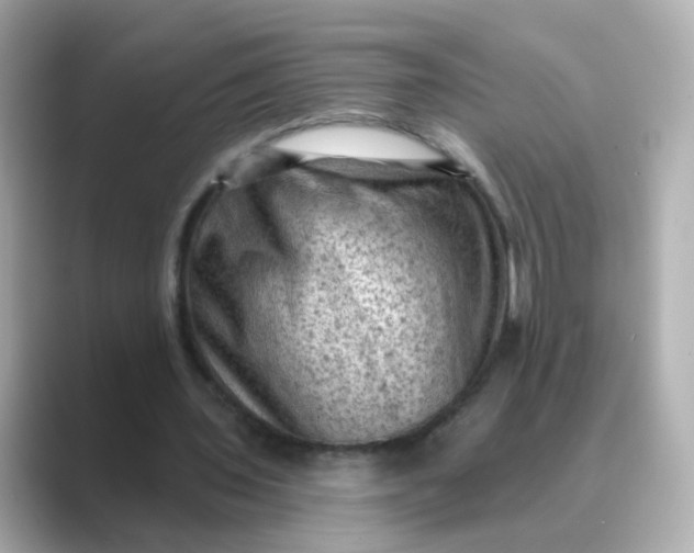 X0000088830435200706211817