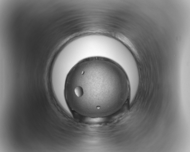 X0000088830436200706211817