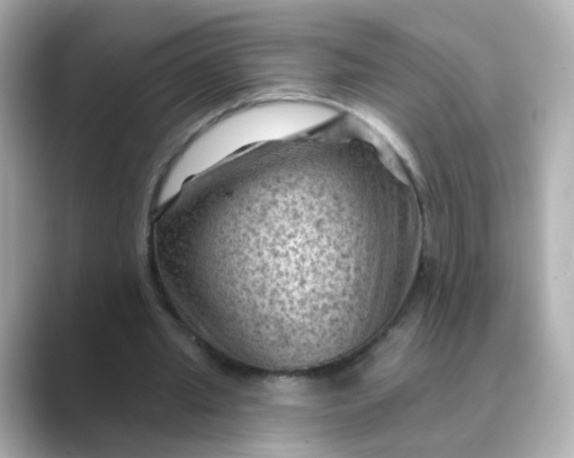 X0000088830437200706211817