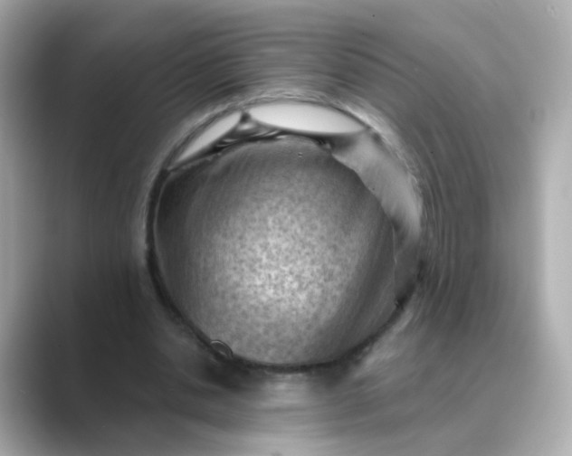 X0000088830438200706211817