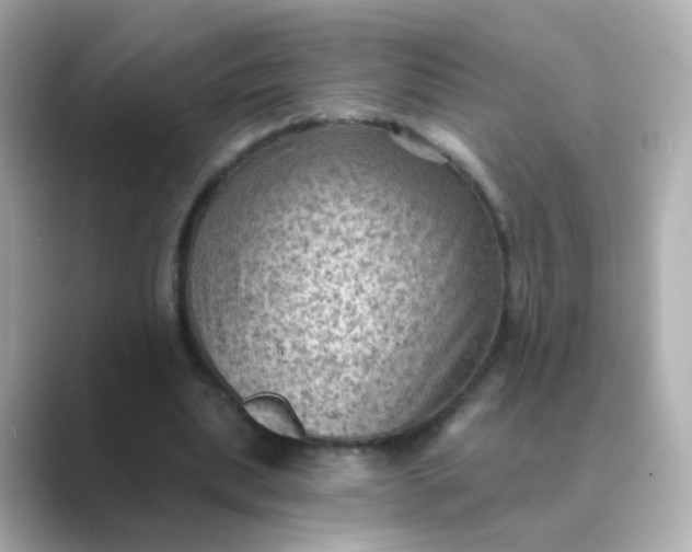 X0000088830439200706211817