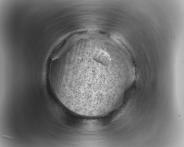 X0000088830440200706211817