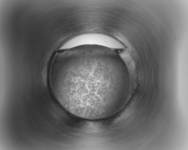 X0000088830442200706211817