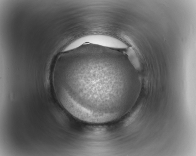 X0000088830443200706211817