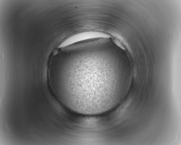 X0000088830445200706211817