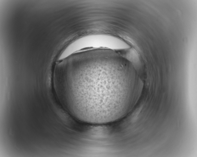 X0000088830446200706211818