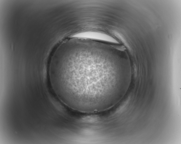 X0000088830447200706211818