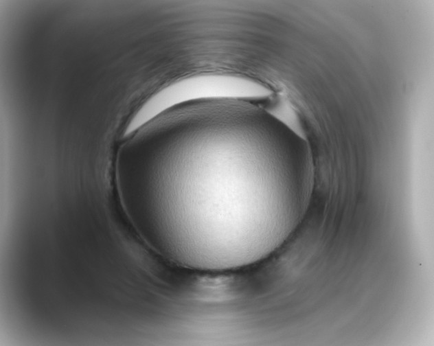 X0000088830450200706211818