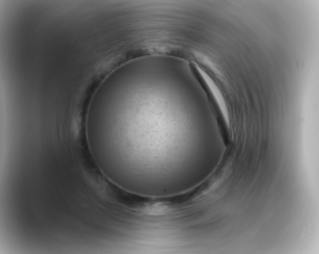 X0000088830451200706211818