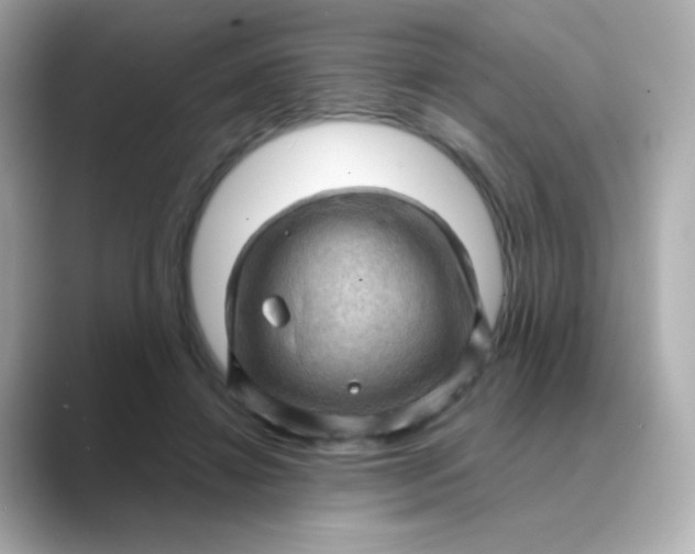 X0000088830452200706211818