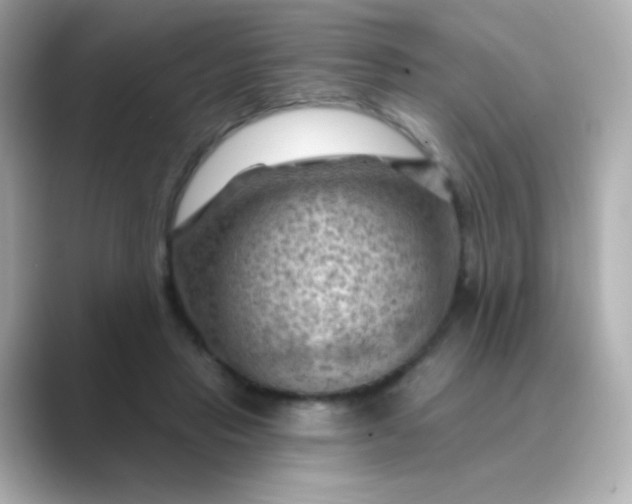 X0000088830453200706211818