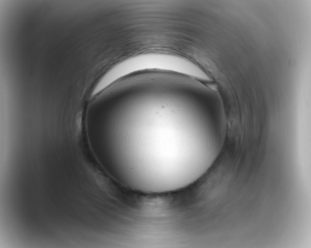 X0000088830454200706211818