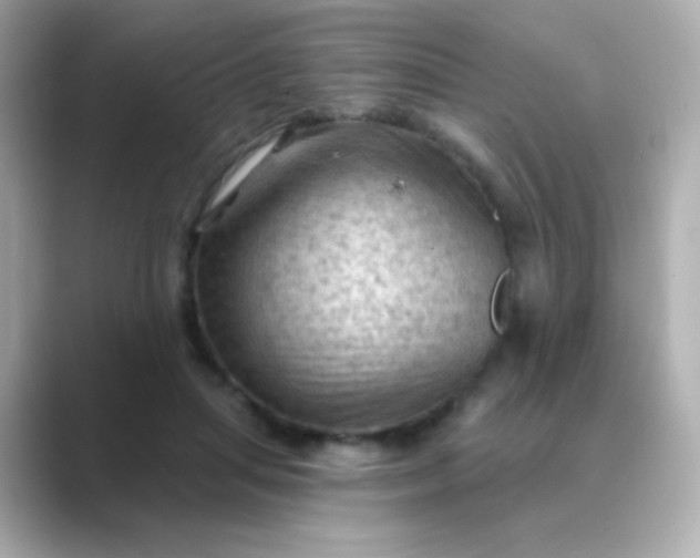 X0000088830455200706211818