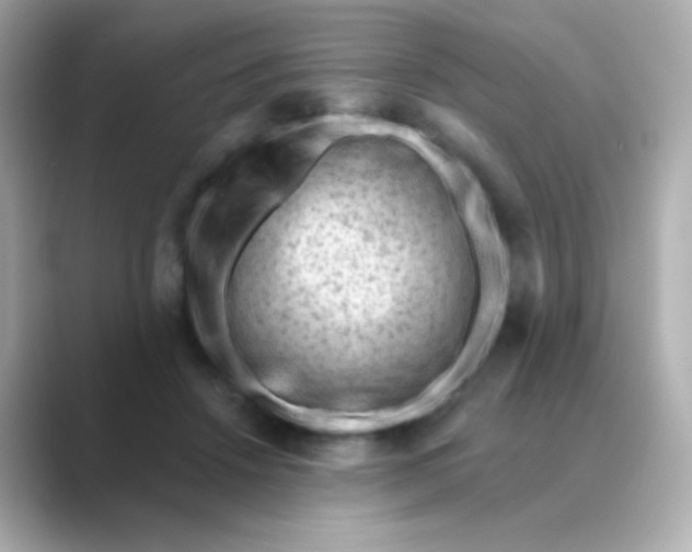 X0000088830456200706211818