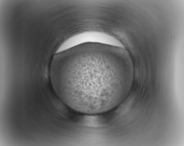 X0000088830457200706211818